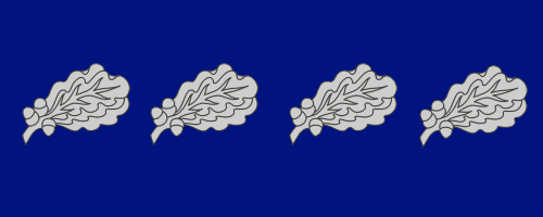 photo Sign of Four silver oak leaves_zpszka2kfex.gif