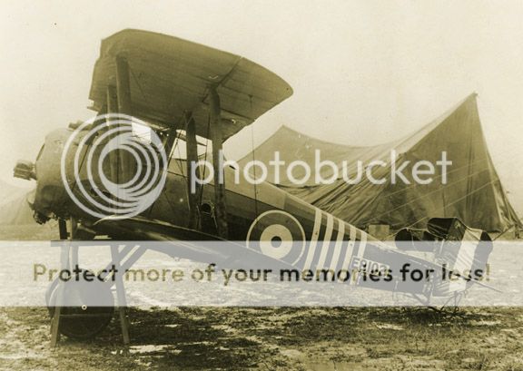 photo BarkerSnipe_zpsc539e48c.jpg