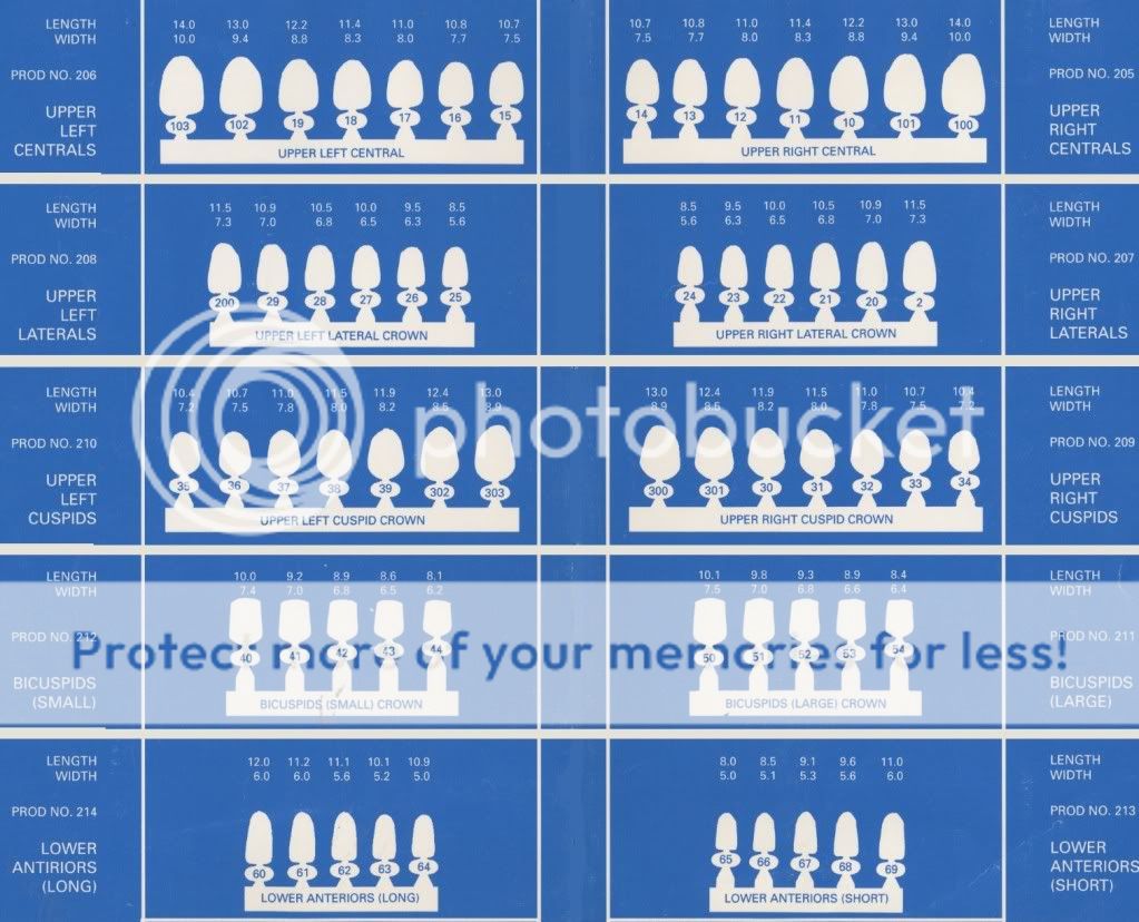 Denture+Teeth+Sizes ... Crown Polycarbonate Crowns Dental Tooth Bridge Fake Teeth Cap Denture