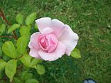 th_032.jpg