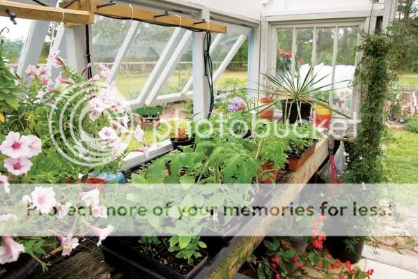 MEN-ON09-greenhouse-recycled-window.jpg