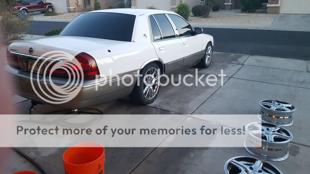 Show Me Your Mustang Wheels On Your Crown Vic Tires And Wheels Crownvic Net