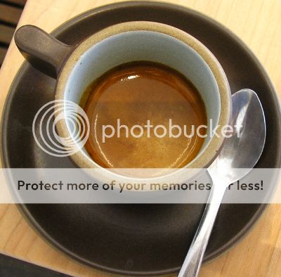 brew system: This espresso maker