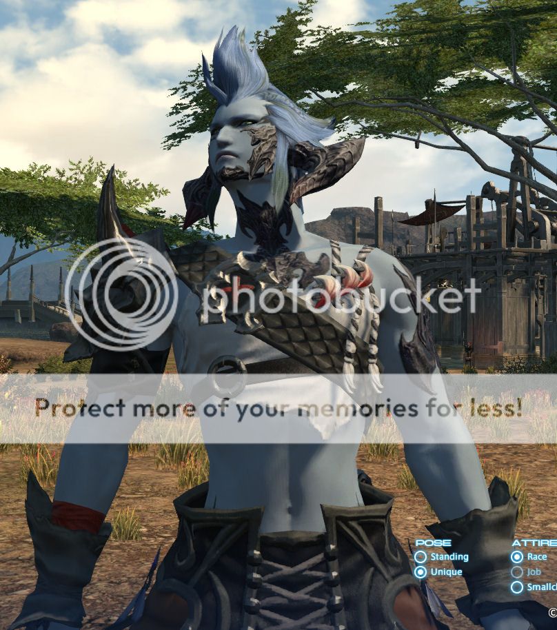 let s see heavensward benchmark screenshots au ra edition